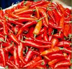 Byadgi chillies