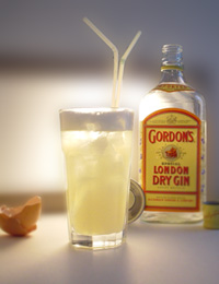 RoyalGinFizz web