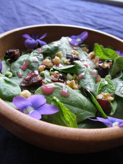 Sansa-salad
