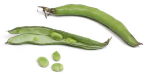 FavaBean