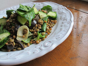 Lentil wheatberry 1