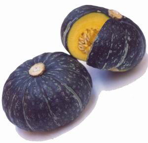 ButtercupSquash