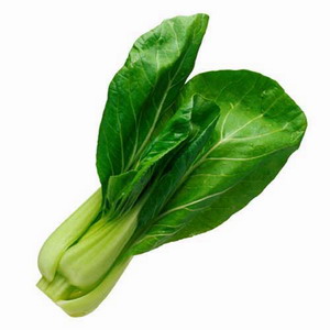 BabyBokChoy