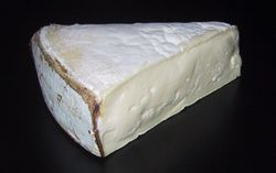 Cheese