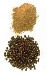 WattleSeed