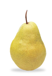 Bartlett
