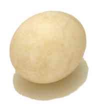 DuckEgg