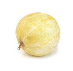 Lemon cucumber