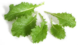 Tyfon greens