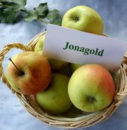 Jonagold