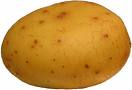 Potato
