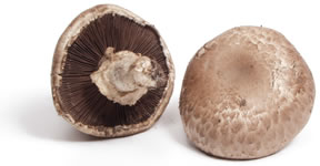 Portobello Mushroom