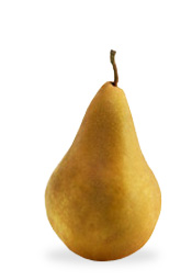 Bosc