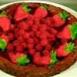 Frozen Chocolate Fudge Tart
