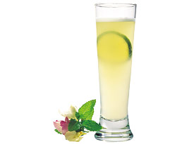 GinFizz