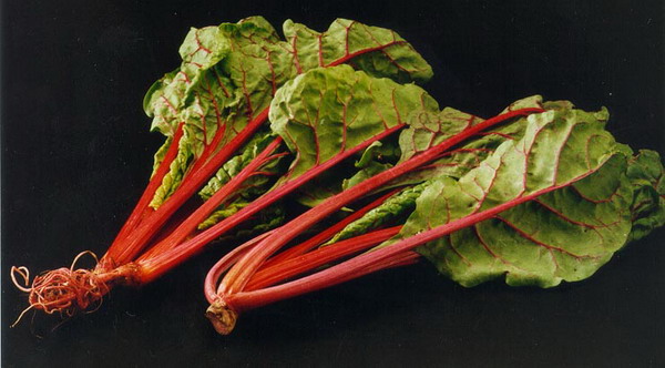 swiss chard wikia recipes 2010 december