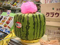 Squarewatermelon