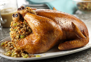 Roasted-chicken-with-stuffing-gravy-large-24499
