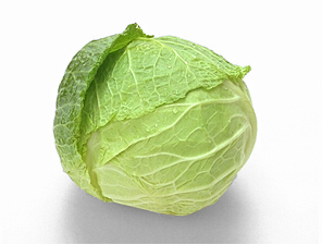SavoyCabbage
