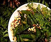 Aspferns