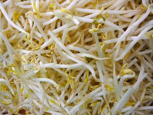 Bean sprouts