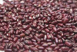 Rice bean