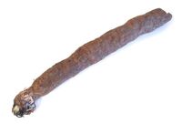 Salsify