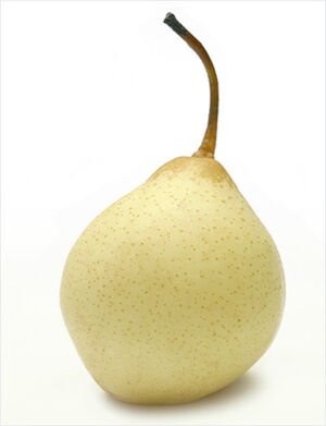 Tientsin pear