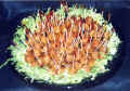 Scottish Meat Balls