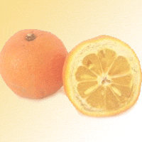 SevilleOrange