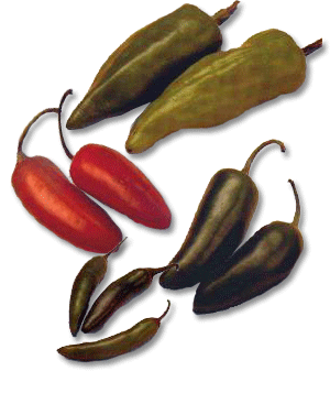 AnaheimChiles