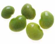 LimaBeans