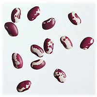 Anasazi beans