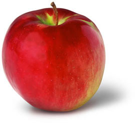 CortlandApple