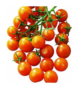 Cherry tomatoes