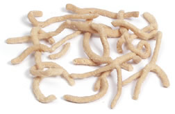 FriedChowMeinNoodles