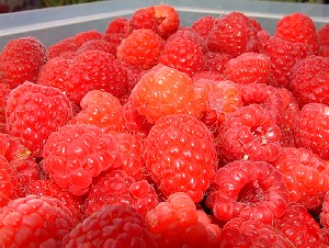 Raspberries