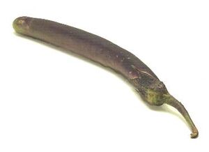 Hawaiian eggplant