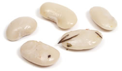 WhiteBean