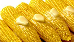 Corn on the Cob