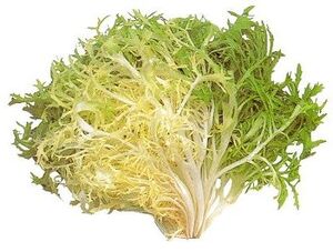 Frise
