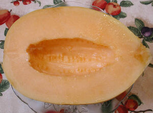 CrenshawMelon