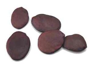Uda seeds