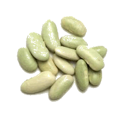 Flageolet