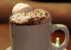 Hotcocoa