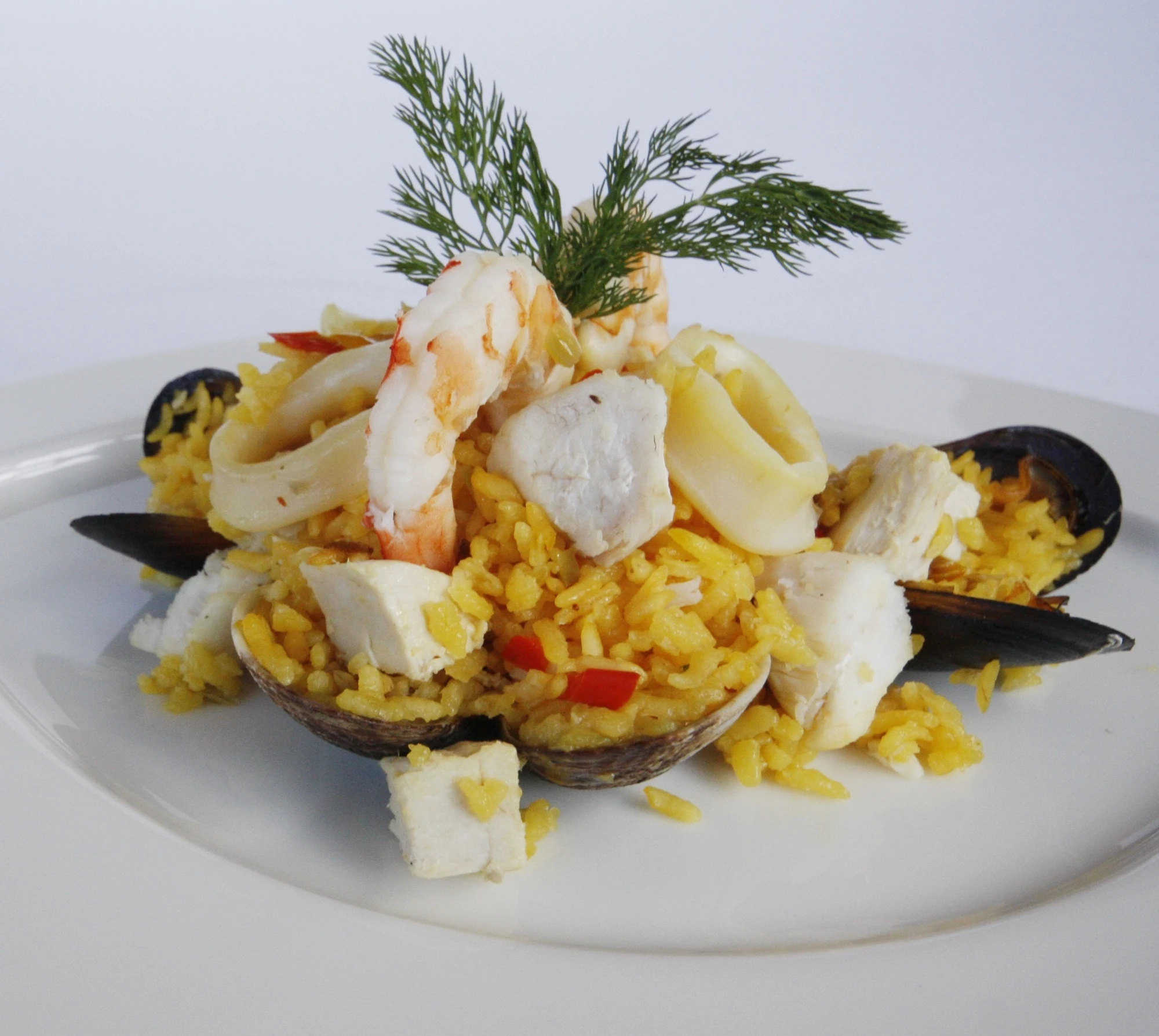 Seafood Paella Recipes Wiki FANDOM powered by Wikia