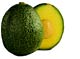 Avocado reed