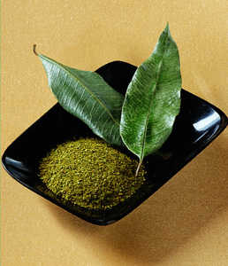 Lemon myrtle