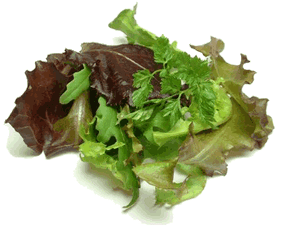 Mesclun
