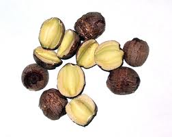 Lotus seeds